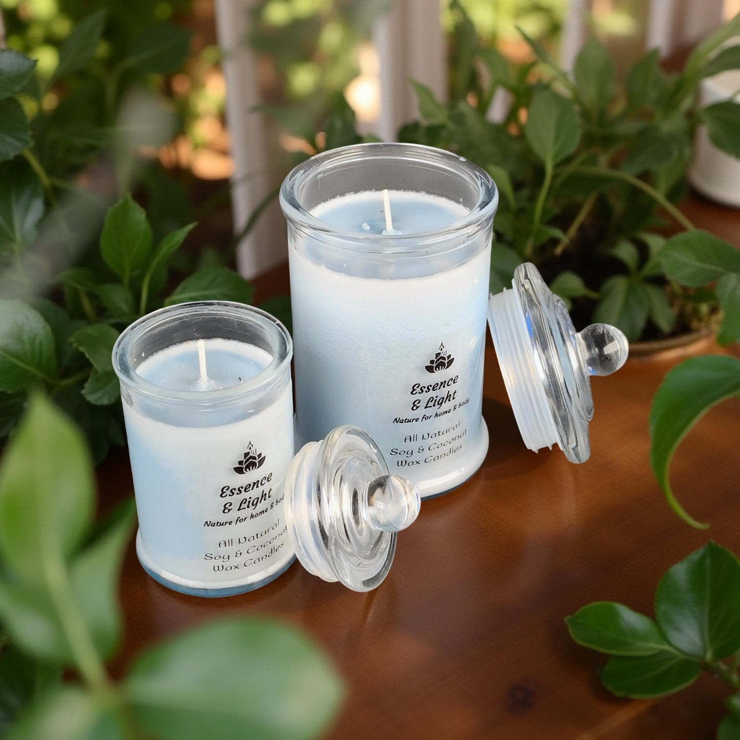 Sea Salt & Sage Jar Candle - 100% Soy/Coconut Wax - Natural Candle