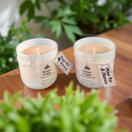 Pearl Jar Candle Set  - Pine Fur & Honey - Set of 2