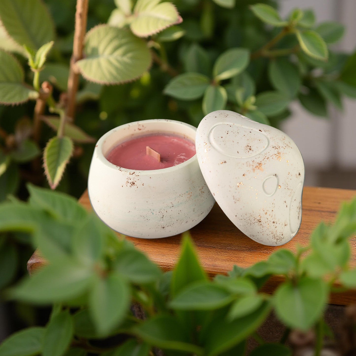 Mushroom Candles - Blackberry, Pine fir & Honey - 100% Soy Wax