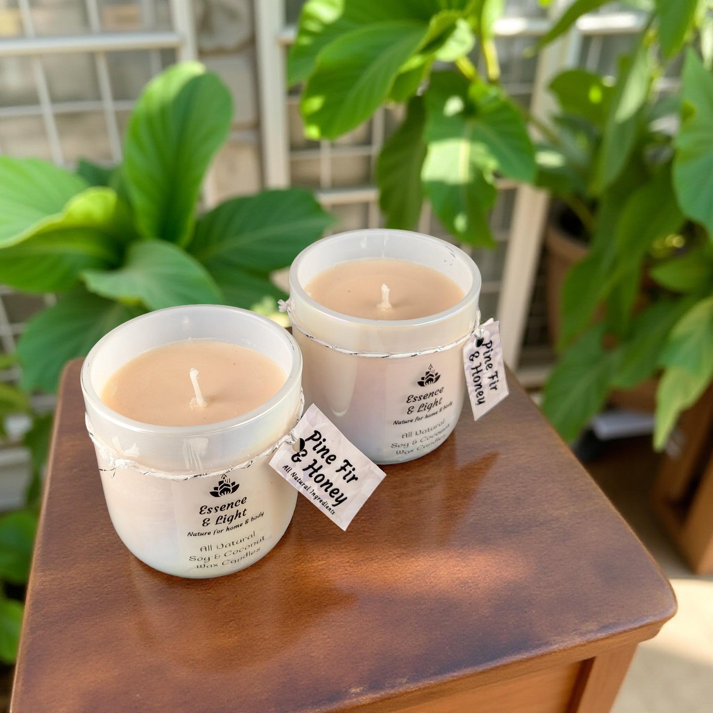 Pearl Jar Candle Set  - Pine Fur & Honey - Set of 2